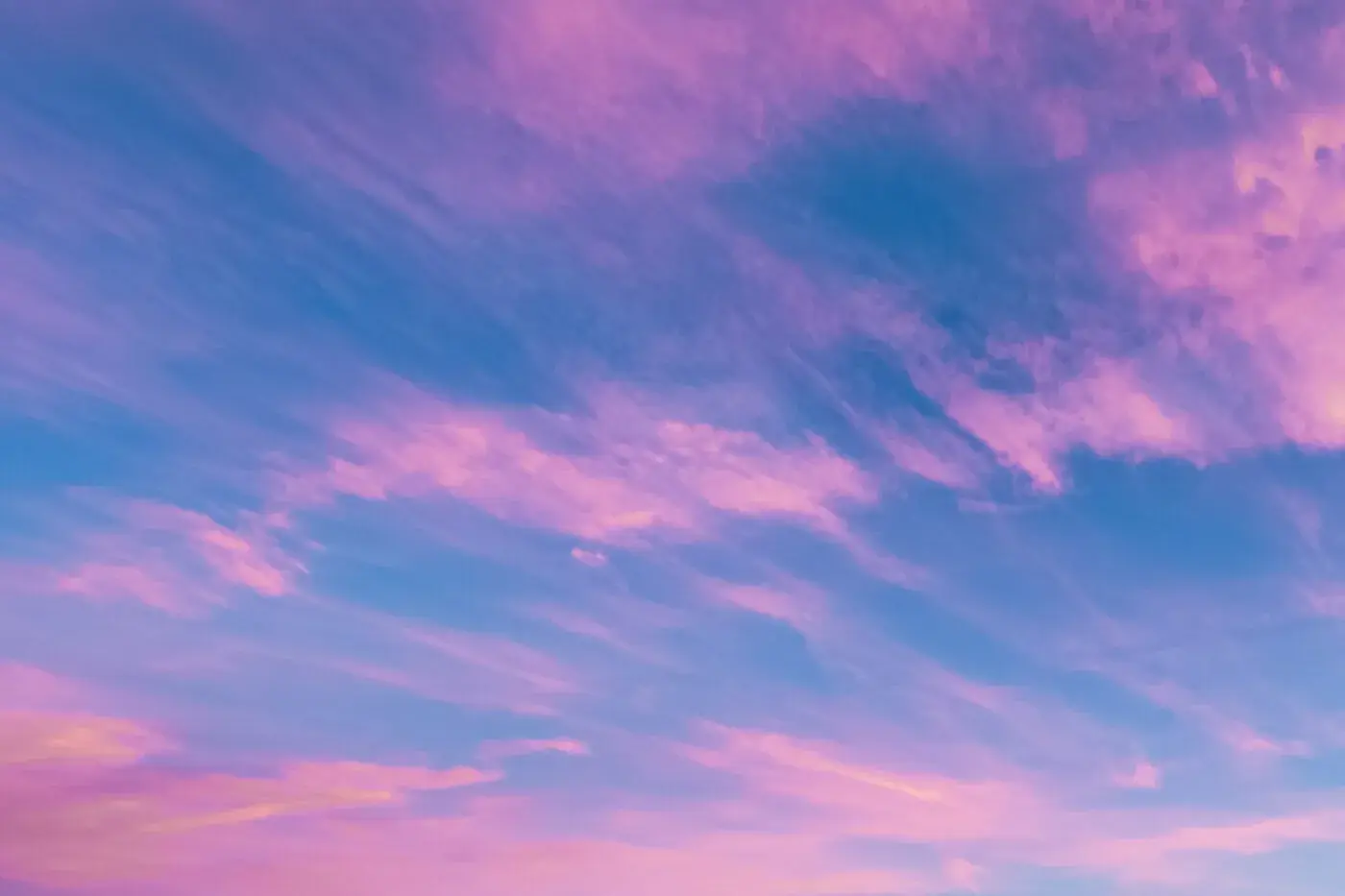 Calgary skyline at sunset